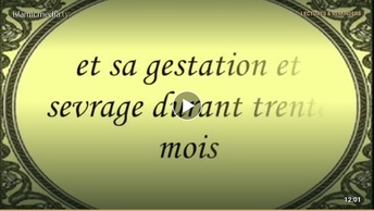 Le Coran en vidéos sous-titrées [046] Al-Ahqaf : (par Saad Al-Ghamidy)