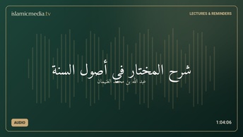 شرح المختار في أصول السنة