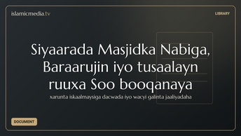 Siyaarada Masjidka Nabiga, Baraarujin iyo tusaalayn ruuxa Soo booqanaya