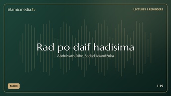 Rad po daif hadisima