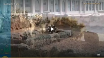 أخطاء الحجاج والمعتمرين في مقبرة البقيع