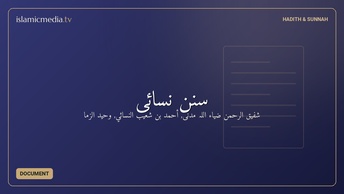 سنن نسائی