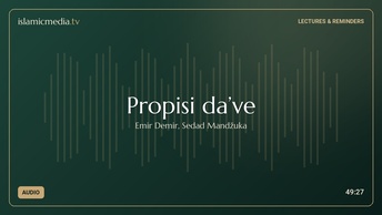 Propisi da’ve