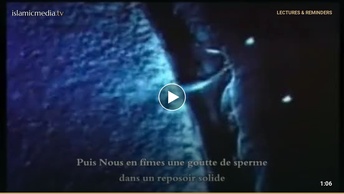 Les étapes de la vie