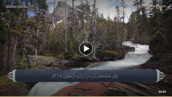 ترجمه صوتی تصویری قرآن حکیم ( 041 ) سوره فصلت