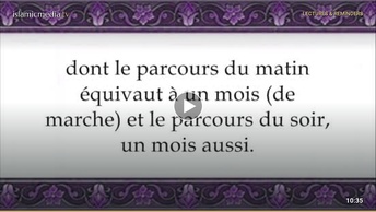 Le Coran en vidéos sous-titrées [034] Saba : première partie (par Machary Ibn Rached Al-Afassy)
