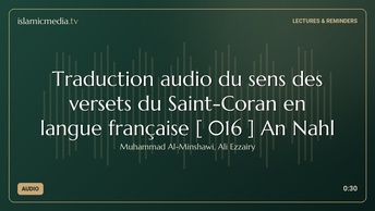 Traduction audio du sens des versets du Saint-Coran en langue française [ 016 ] An Nahl