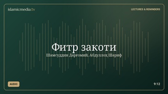 Фитр закоти