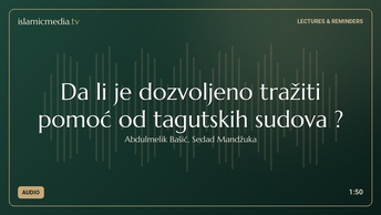 Da li je dozvoljeno tražiti pomoć od tagutskih sudova ?