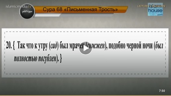 Перевод суры аль-Калям на русский язык с чтением Машари бин Рашида аль-Афаси