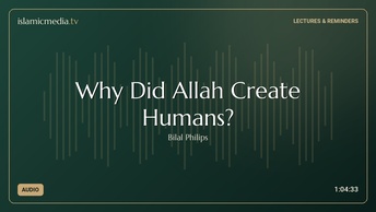 Why Did Allah Create Humans?