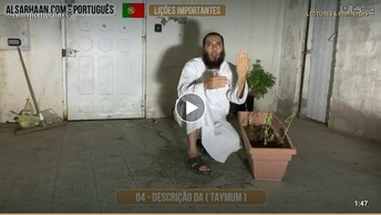 Descrição da Taymum
