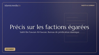 Précis sur les factions égarées