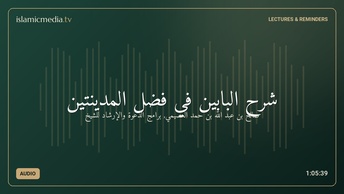 شرح البابين في فضل المدينتين