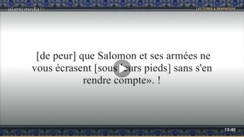Le Coran en vidéos sous-titrées [027] Les Fourmis : première partie (par Cheikh Abou Bakr Chatery)
