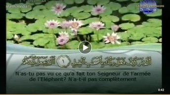 Le Coran complet [105] L’Eléphant