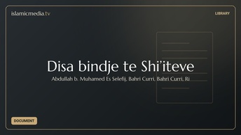 Disa bindje te Shi’iteve