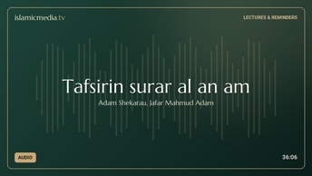 Tafsirin surar al an am