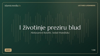I životinje preziru blud